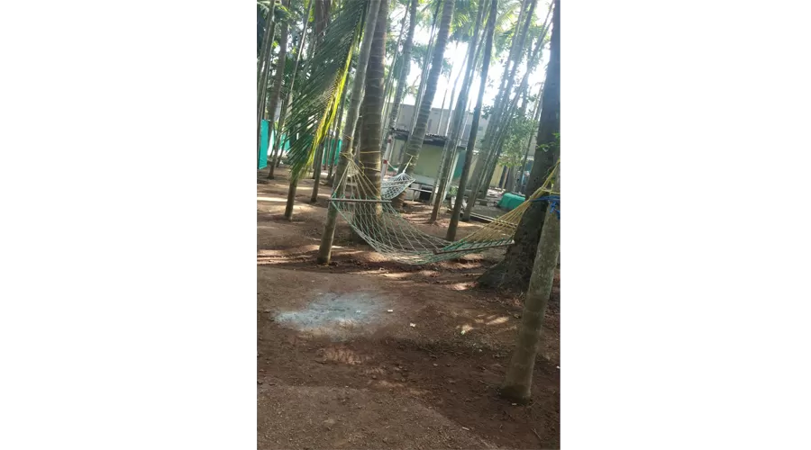 Somkrupa Cottege nagaon