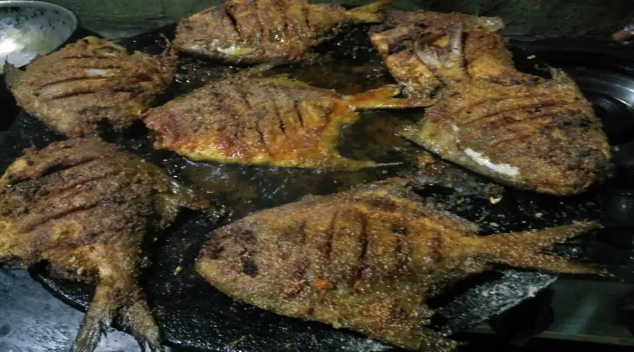 Somkrupa Cottege nagaon