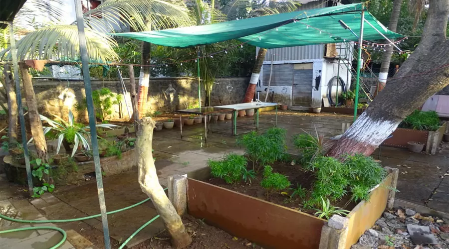 Maooli Guest House alibaug