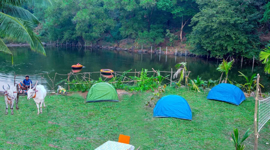 Mountain Base Resort nagaon