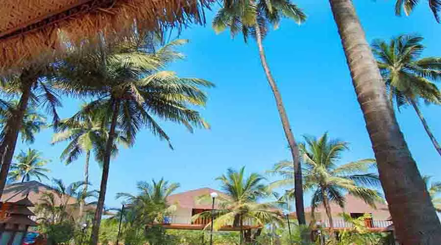 Exotica Sea View in diveagar