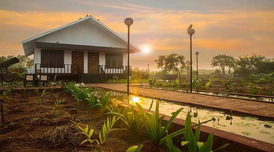 Exotica Sea View rooms