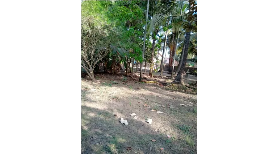 Utkarsh Bungalow in kihim