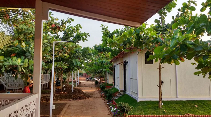 Sea View Beach Resort shrivardhan