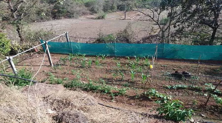 Kokan Pride Resort dapoli