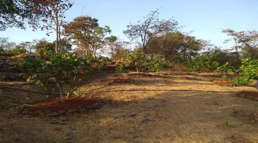 Kokan Pride Resort dapoli