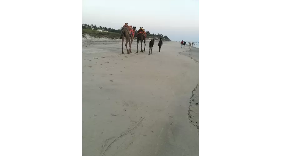 Shalom Holiday Inn devbaug