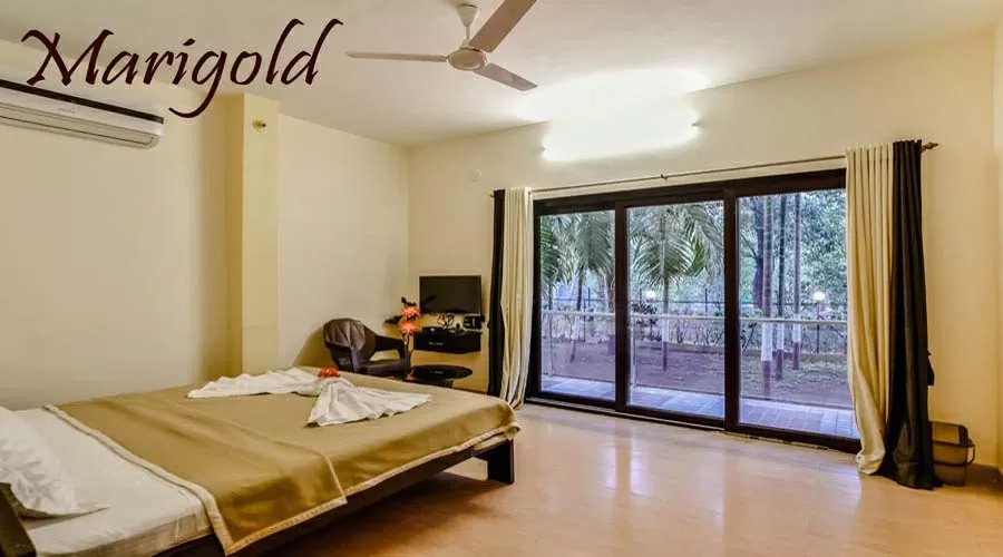 Palmeraie Holidays nagaon