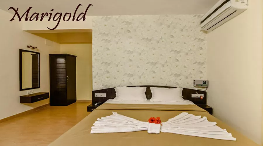 Palmeraie Holidays nagaon