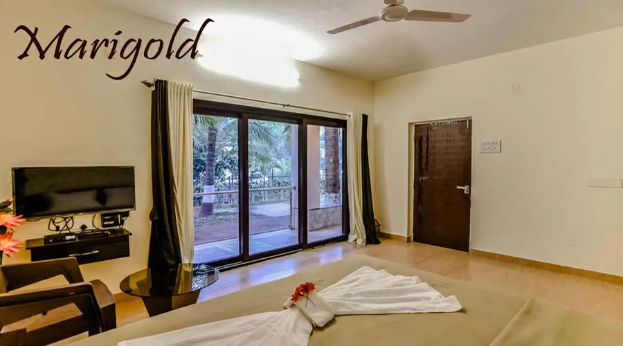 Palmeraie Holidays nagaon