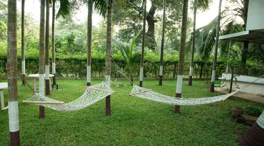 Palmeraie Holidays nagaon