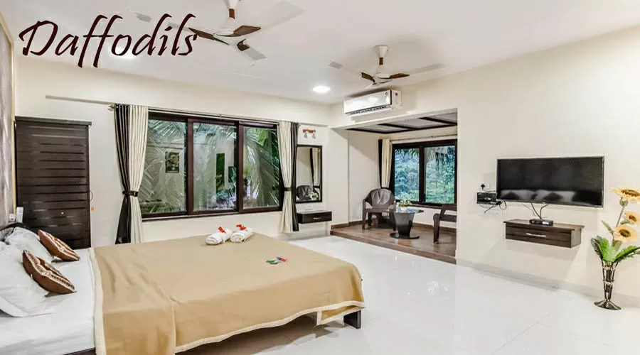 Palmeraie Holidays nagaon