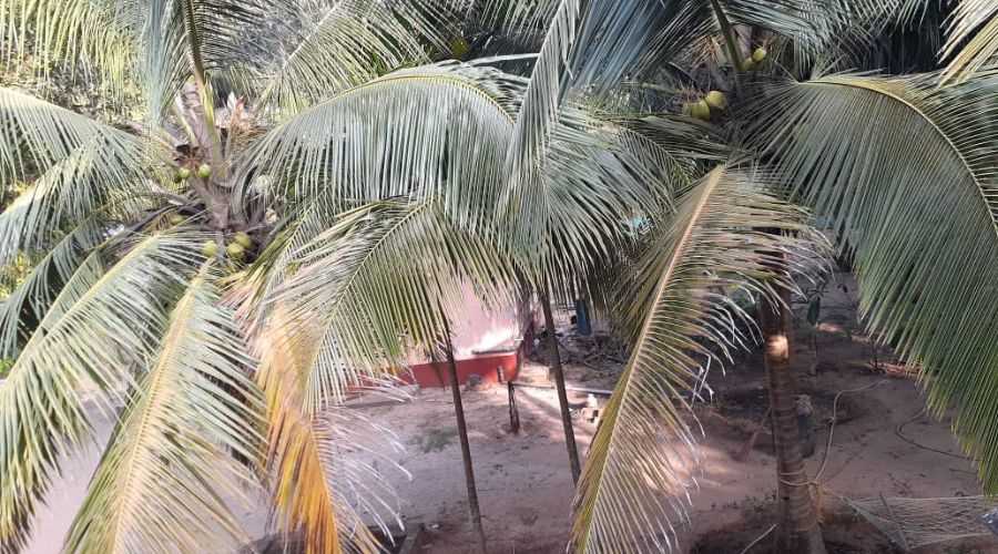 Namrata Home Stay Malvan