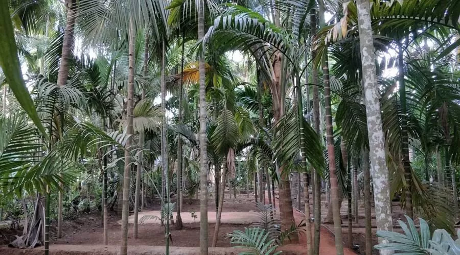 Lakshmi Niwas Guest House diveagar