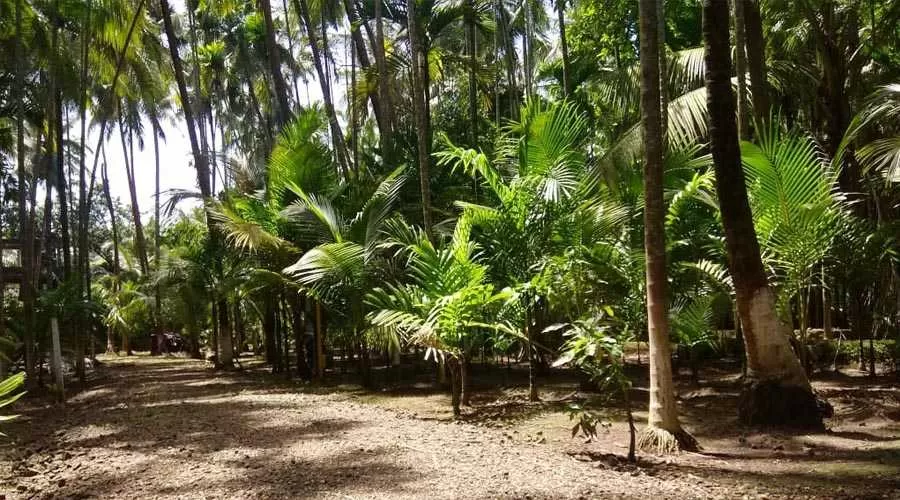 Anandamay Homestay Revdanda