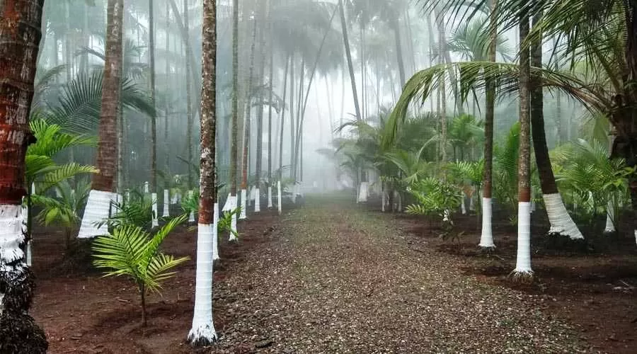 Anandamay Homestay Revdanda