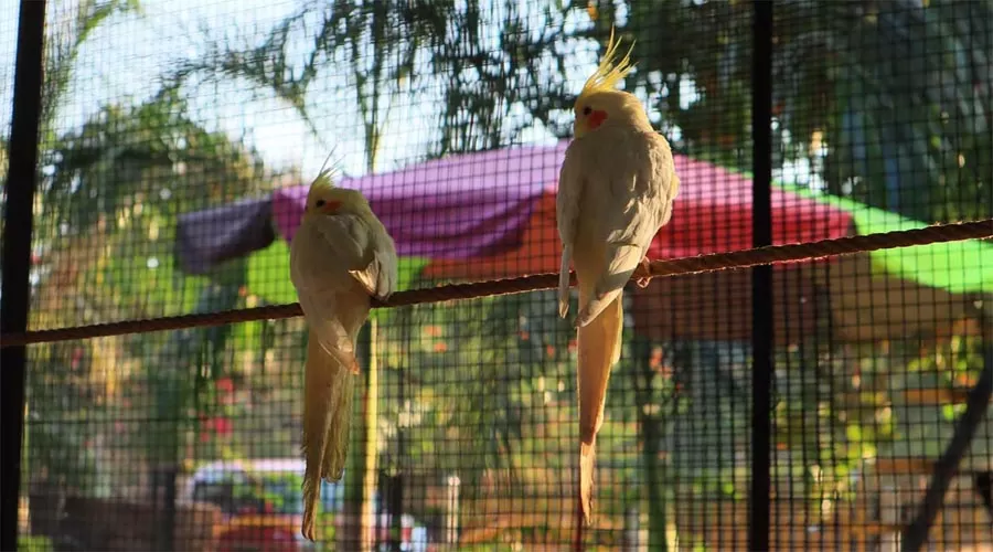 Mallhar Sea View Cottages anjarle