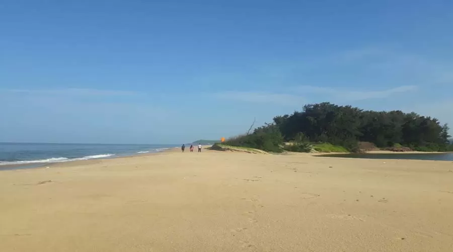 The Monkey Retreat sindhudurg