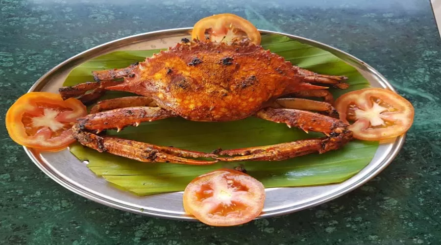 The Monkey Retreat sindhudurg