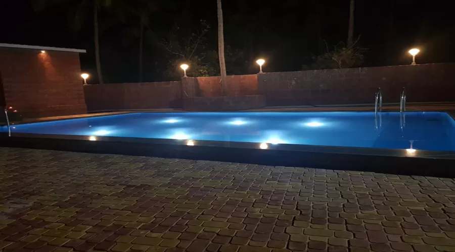 The Monkey Retreat sindhudurg